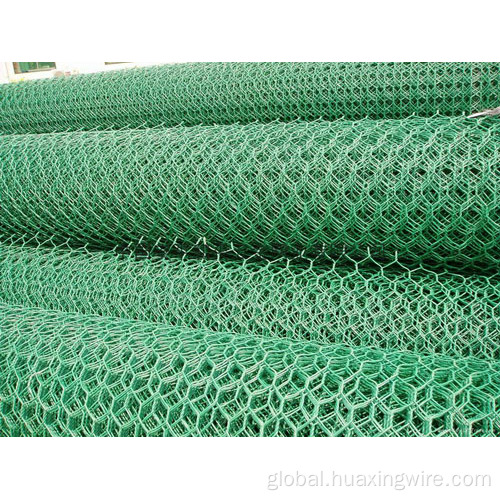 Hexagonal Netting galvanized hexgoal wire mesh Manufactory